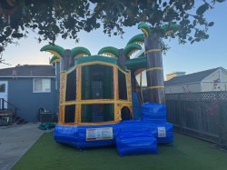 IMG 9684 1744822119 Tropical Breeze Module